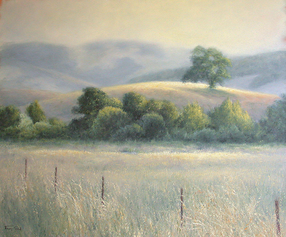 Ambiance of Evening Light | Thomas Creed, Fine Artist