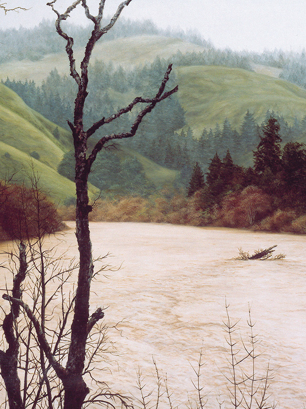 Banks Of A Swollen River | Thomas Creed, Fine Artist