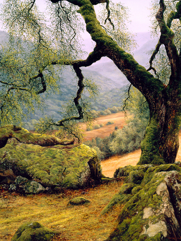 Beneath the Oak | Thomas Creed, Fine Artist