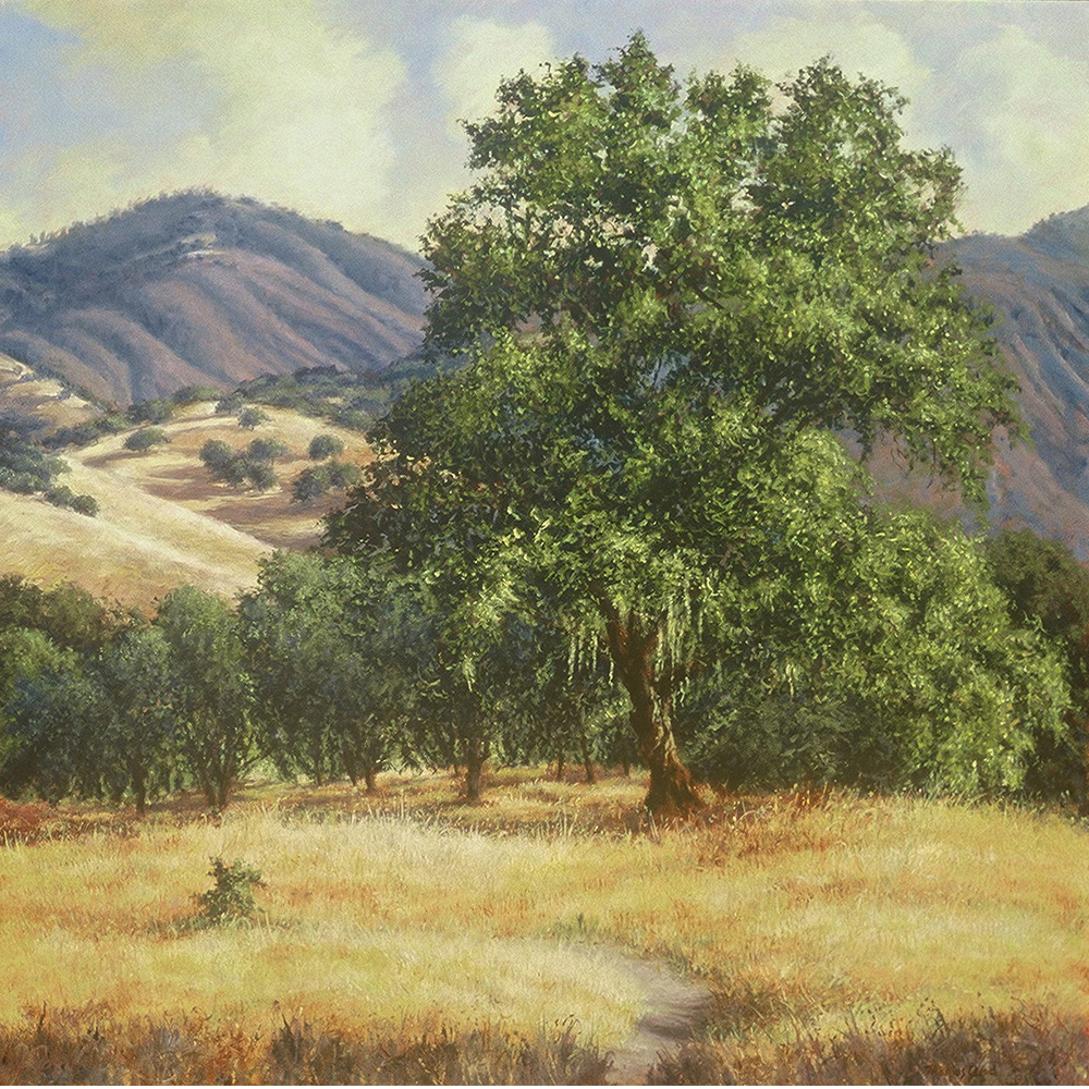 Black Oak Trail | Thomas Creed, Fine Artist