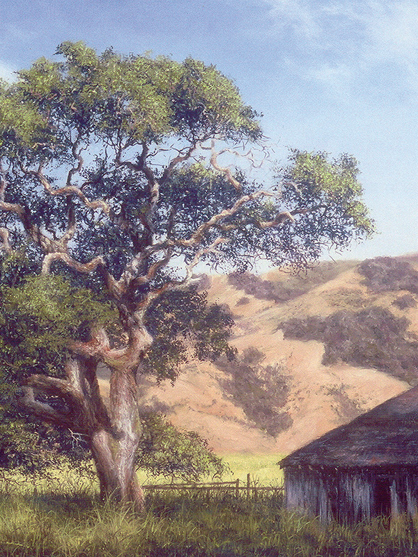 Black Oak And Barn | Thomas Creed, Fine Artist