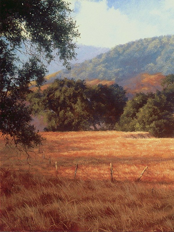 Chileno Valley Morning | Thomas Creed