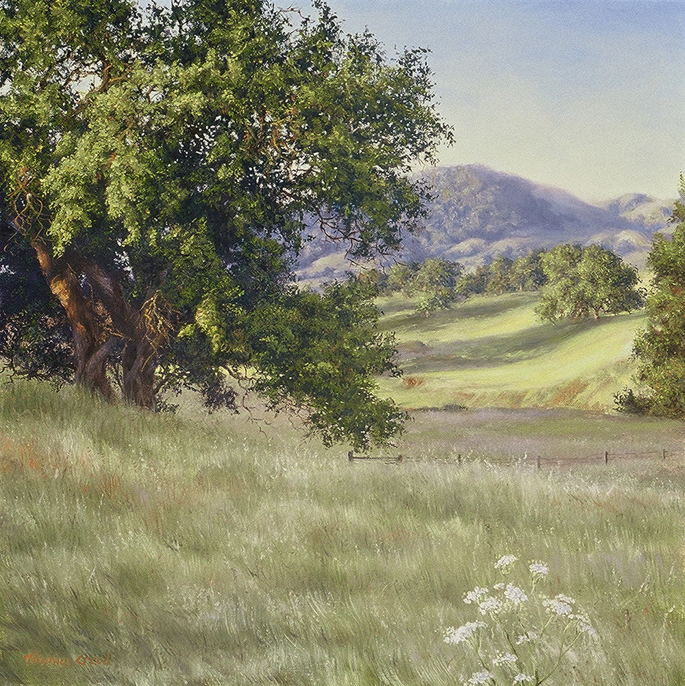 Chileno Valley Oak II | Thomas Creed, Fine Artist