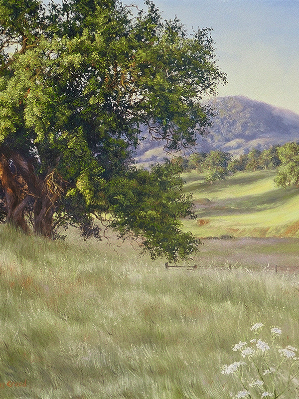 Chileno Valley Oak II | Thomas Creed, Fine Artist