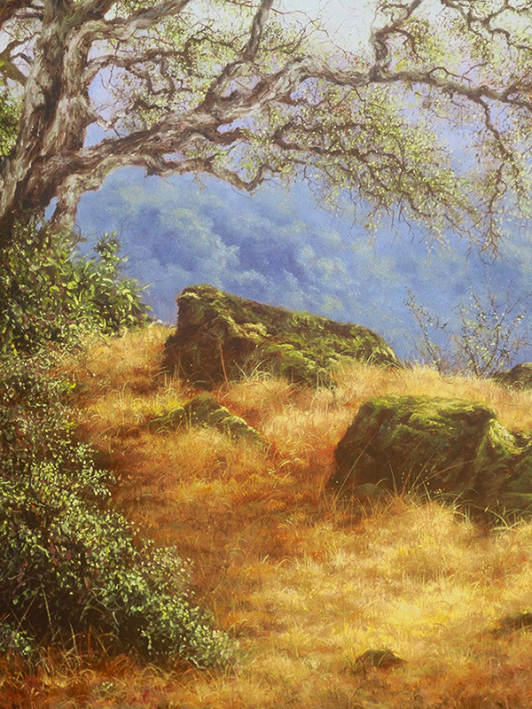 Dry Creek Ridge | Thomas Creed, Fine Artist