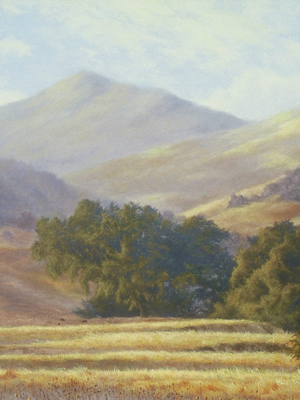 Edge Of A Thistle Field | Thomas Creed, Fine Artist