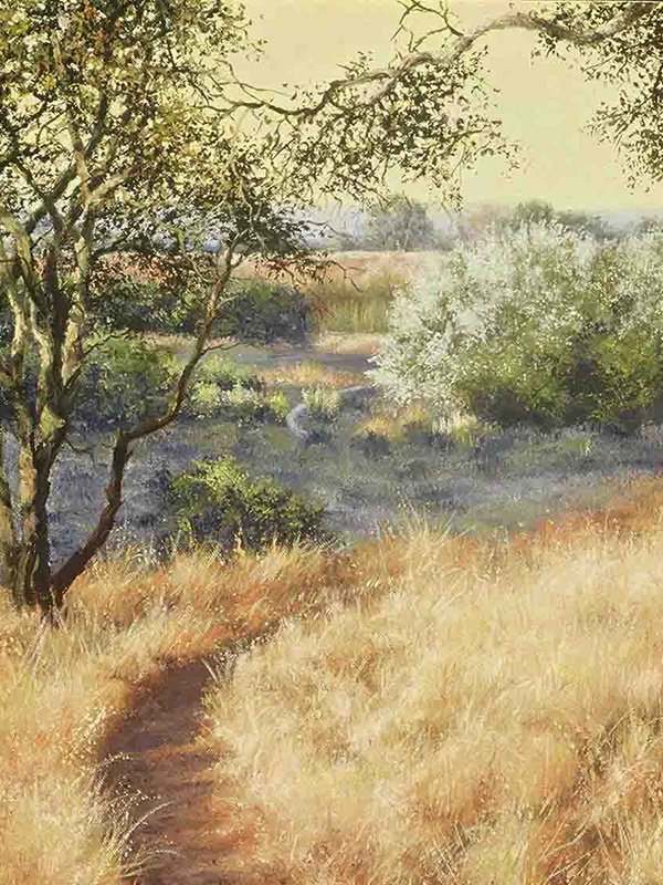 Foothill Regional Trail | Thomas Creed, Fine Artist