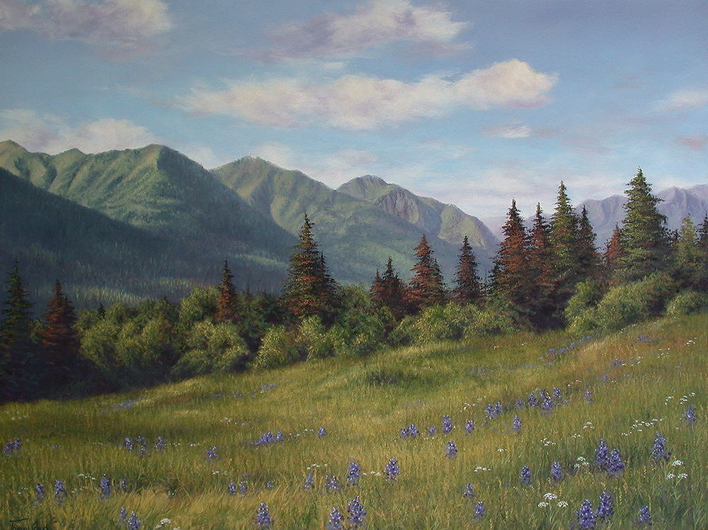 Hope Meadow-Alaska | Thomas Creed, Fine Artist