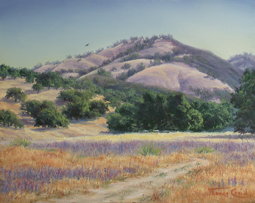 Lupine On A Cloudless Day | Thomas Creed, Fine Artist