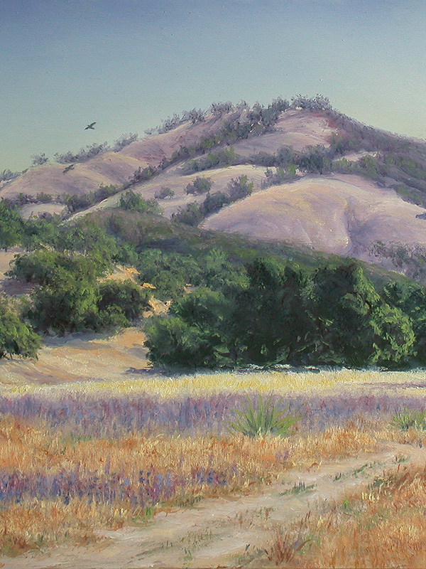 Lupine On A Cloudless Day | Thomas Creed, Fine Artist