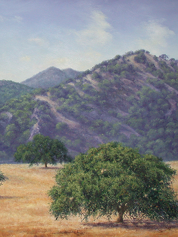 Mid Summer Afternoon | Thomas Creed, Fine Artist