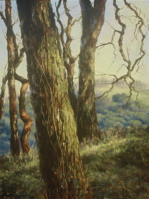 Morning Light Of Oak | Thomas Creed, Fine Artist