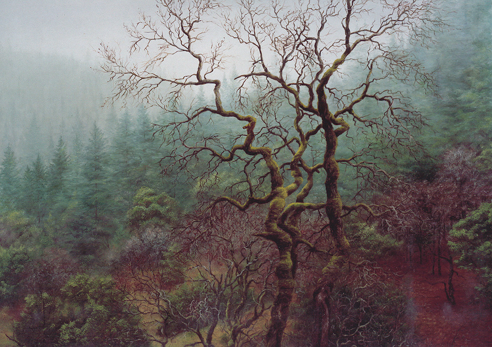 Moss Covered Oak | Thomas Creed, Fine Artist