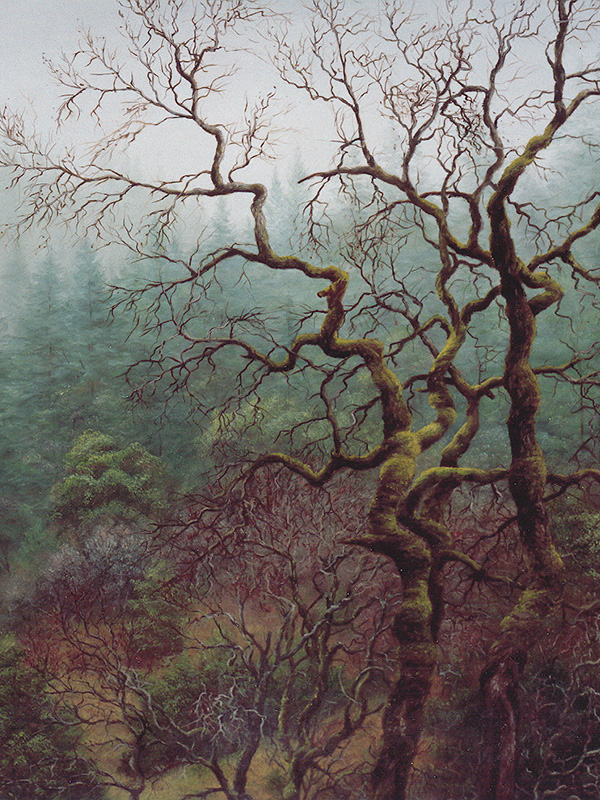 Moss Covered Oak | Thomas Creed, Fine Artist