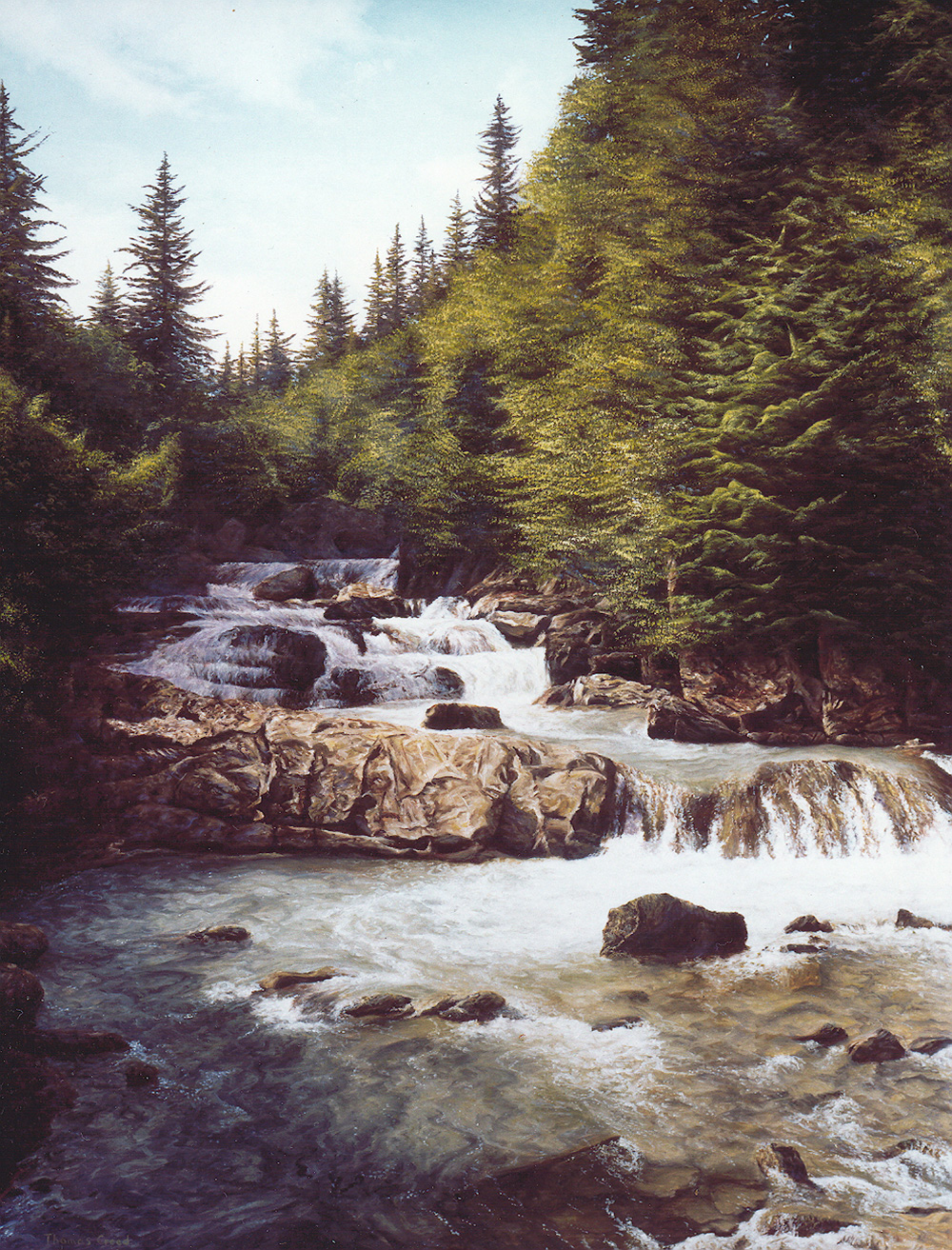 Mountain Stream | Thomas Creed, Fine Artist