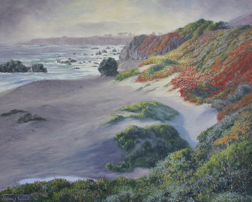 Mystery Beach | Thomas Creed, Fine Artist