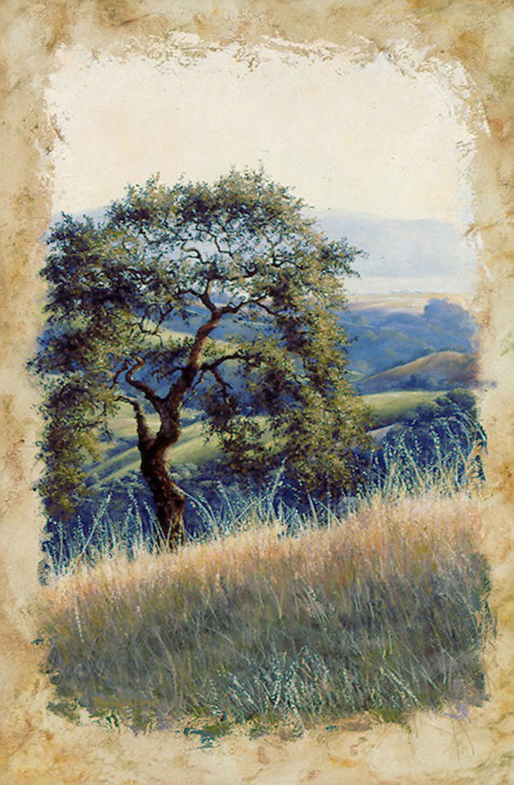 Oak Hill Vista | Thomas Creed, Fine Artist