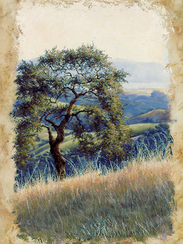 Oak Hill Vista | Thomas Creed, Fine Artist