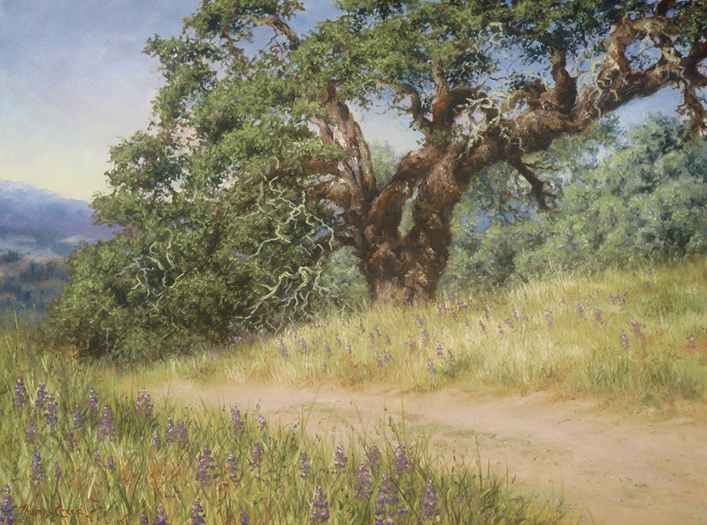 Oak and Lupine | Thomas Creed, Fine Artist