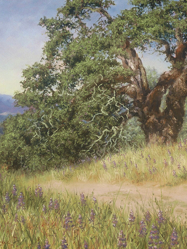 Oak and Lupine | Thomas Creed