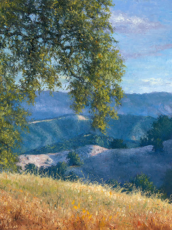 Rising Above Sonoma County | Thomas Creed