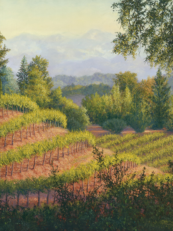 Rockpile Vineyard | Thomas Creed