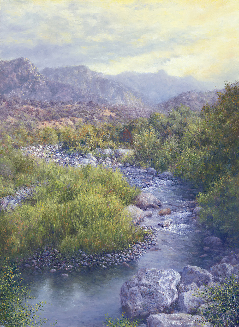 Sequoia National Forest | Thomas Creed, Fine Artist