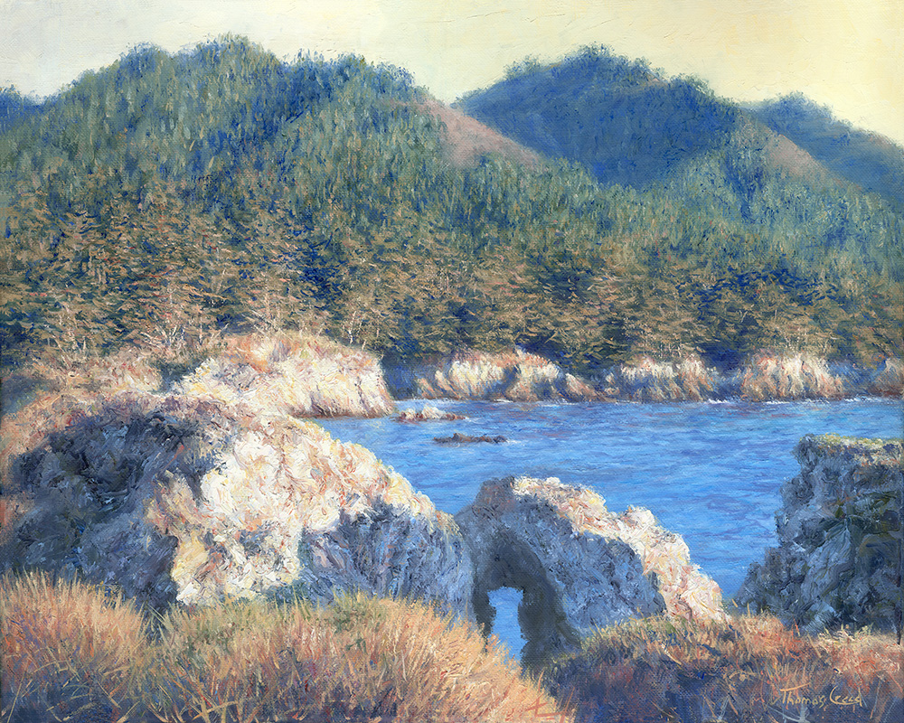 South Point Lobos | Thomas Creed, Fine Artist