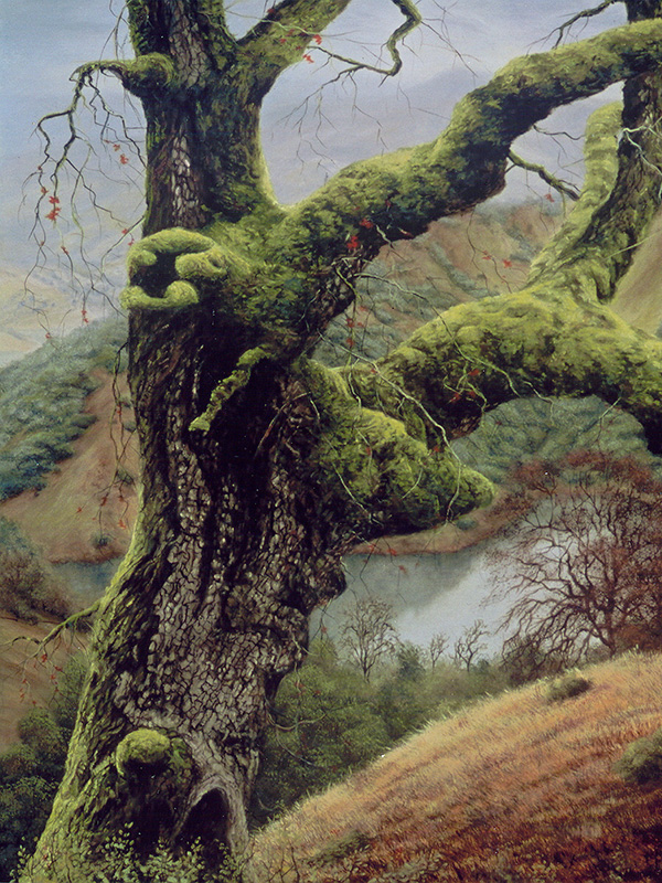 South Side Of An Oak | Thomas Creed, Fine Artist