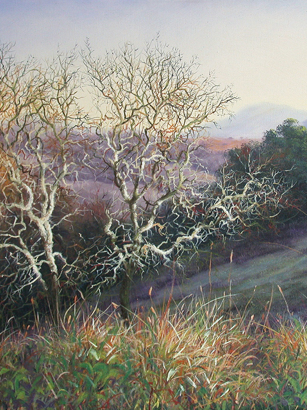 Twin Oaks in Morning Light | Thomas Creed