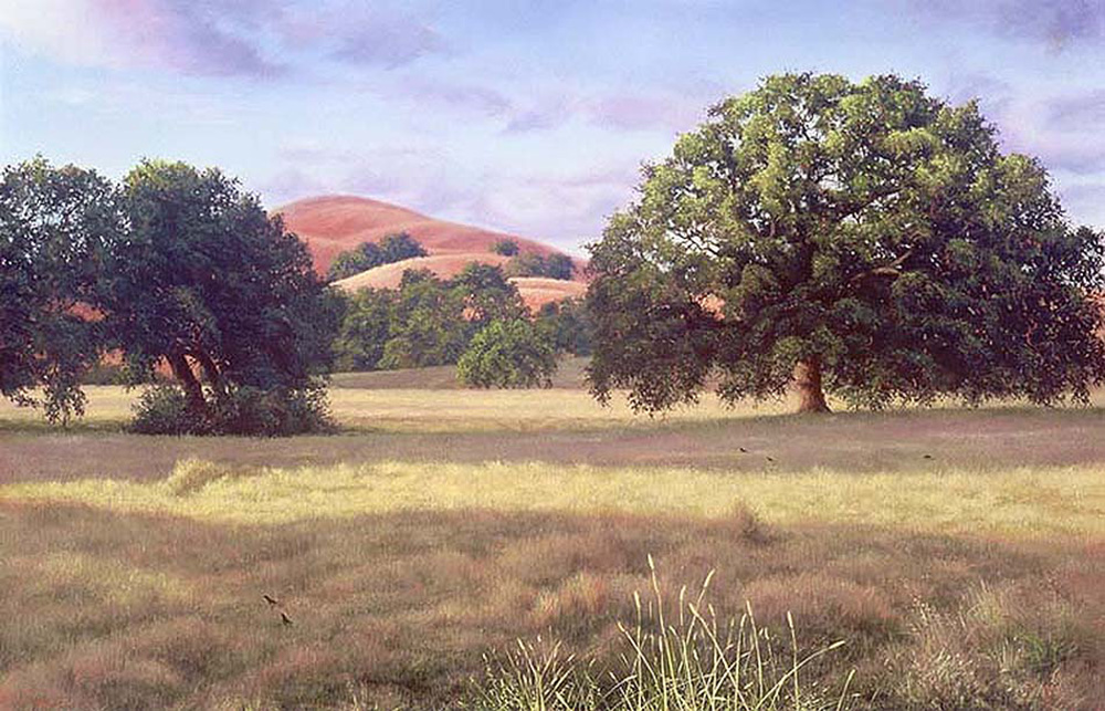 Valley Oak In Waning Light | Thomas Creed, Fine Artist