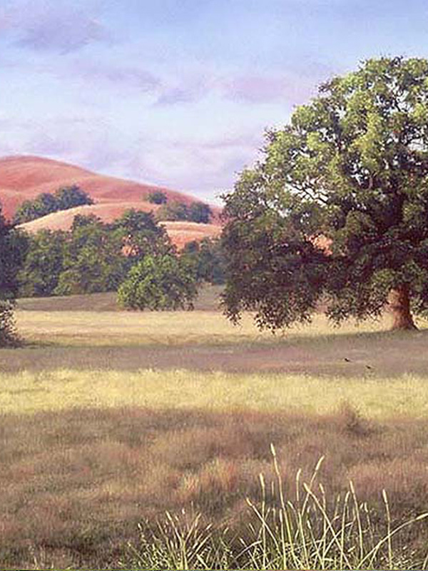 Valley Oak In Wanning Light | Thomas Creed, Fine Artist