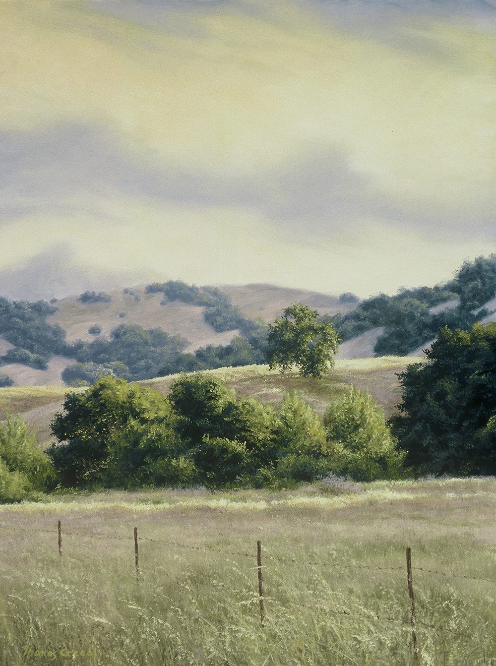 West Sonoma Evening | Thomas Creed, Fine Artist