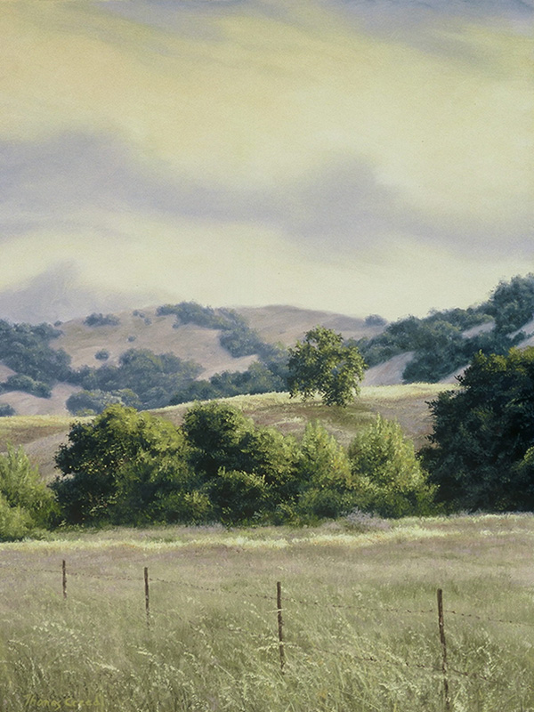 West Sonoma Evening | Thomas Creed, Fine Artist