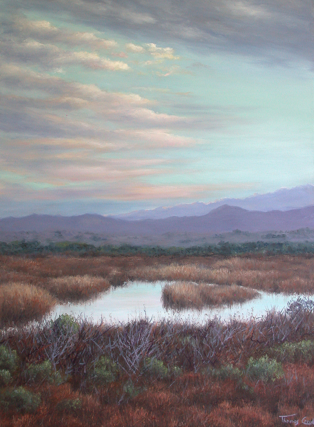 Wetlands Morning West | Thomas Creed, Fine Artist