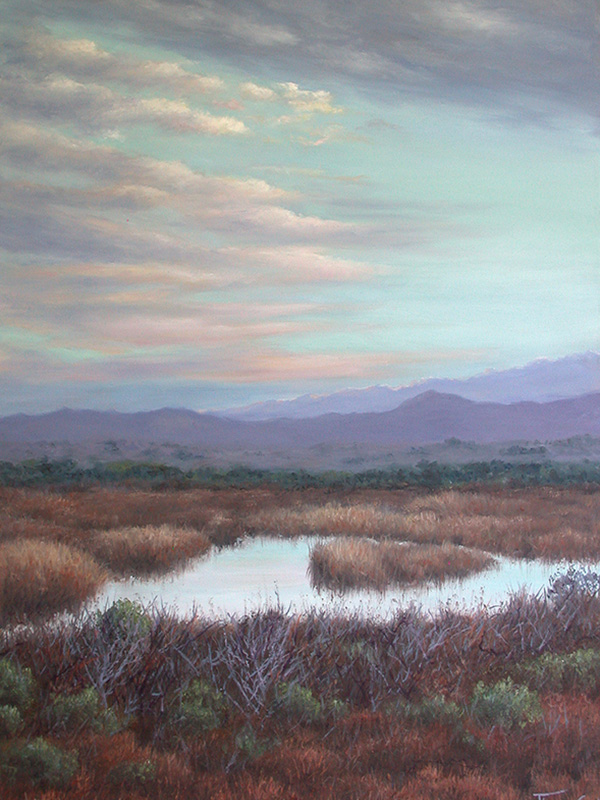 Wetlands Morning West | Thomas Creed, Fine Artist