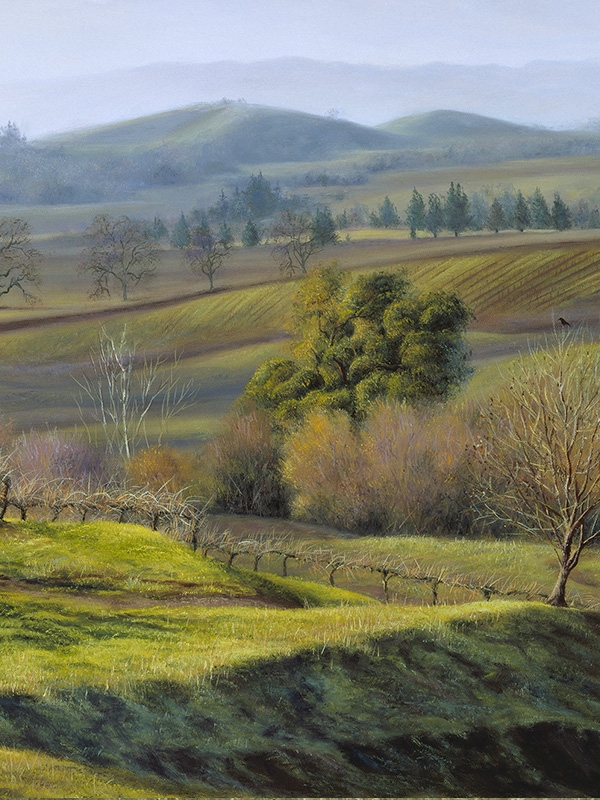 Winter Vineyards | Thomas Creed, Fine Artist