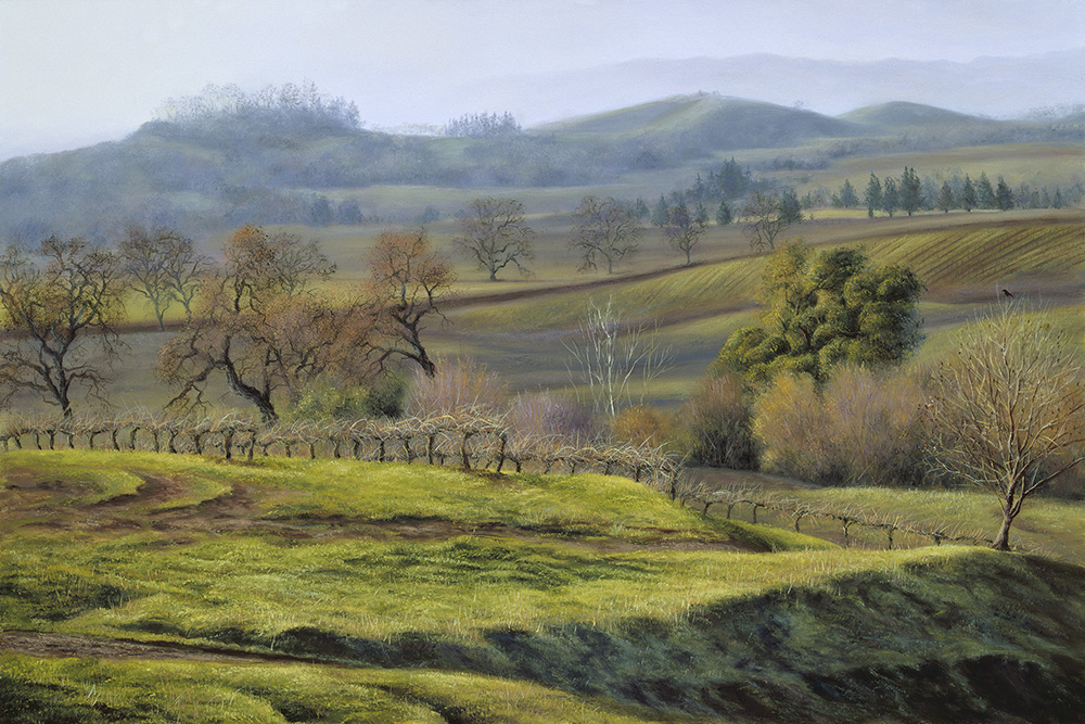 Winter Vineyards | Thomas Creed, Fine Artist